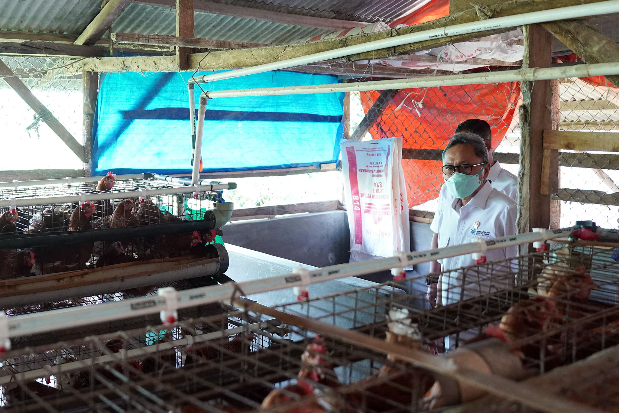 Kunjungan ke Peternakan Ayam Petelur Jati Farm di Kabupaten Bandung